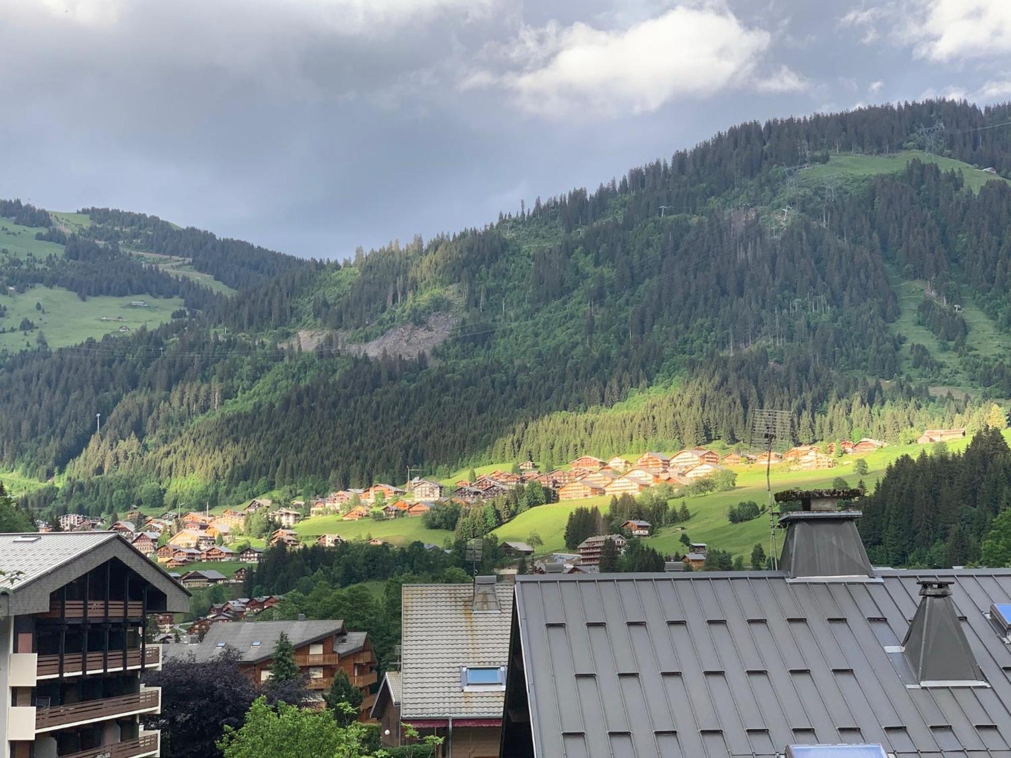 Appartement 290 Moulin B - 1200 Chatel - Linga 外观 照片